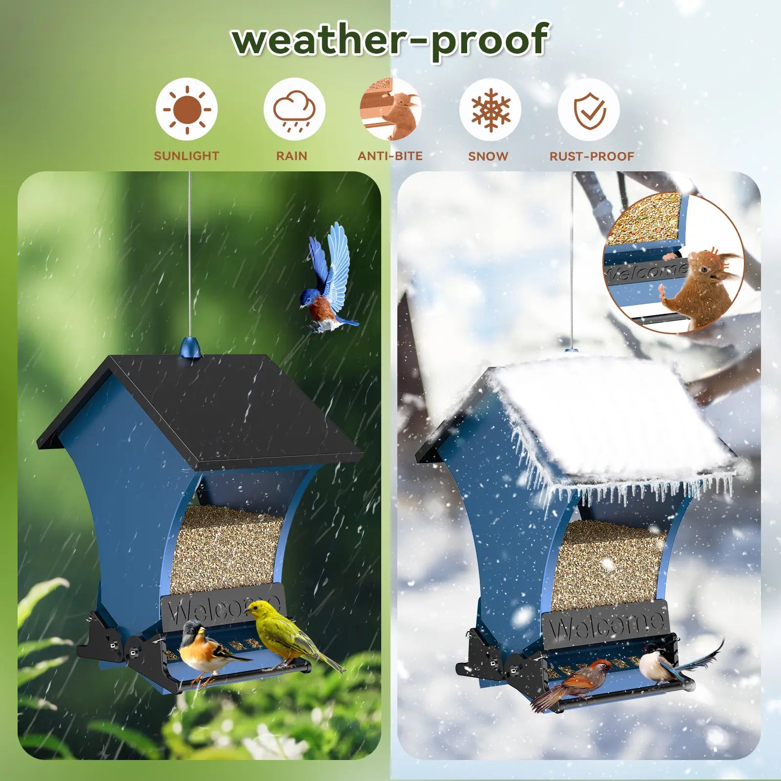 Wildpark Squirrel-Proof Bird Feeder — Triple Defense, 5-lb Capacity, Vibrant Orange & Navy