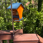 Wildpark Squirrel-Proof Bird Feeder — Triple Defense, 5-lb Capacity, Vibrant Orange & Navy